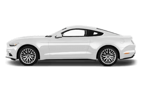 صورة مصغرة 8