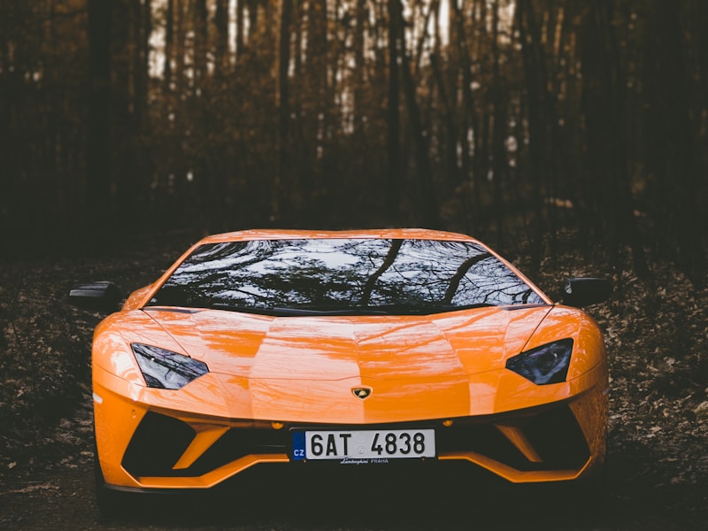 صورة مصغرة 2